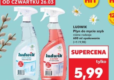 płyn do mycia szyb różne rodzaje