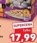 karma dla kotów