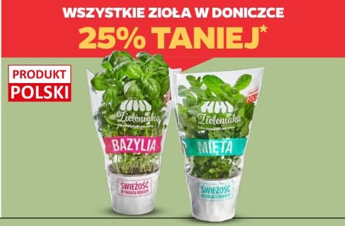 Wszystkie zioła w doniczce