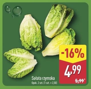 sałata rzymska