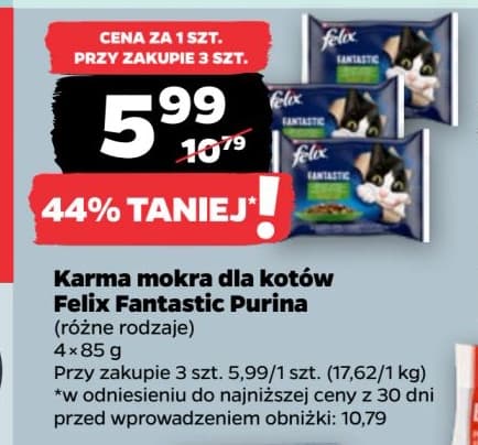 karma mokra dla kotów
