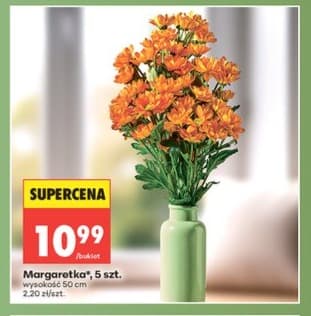 margaretka