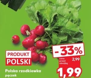 rzodkiewka