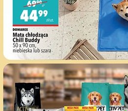 mata chłodząca Chill Buddy