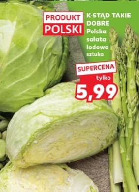 sałata lodowa