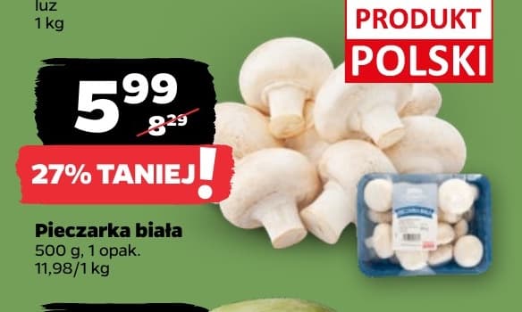 pieczarka biała