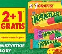 Kaktus wszystkie lody
