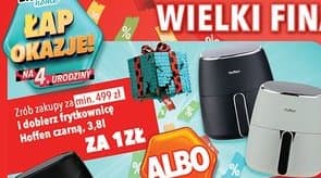 frytkownica