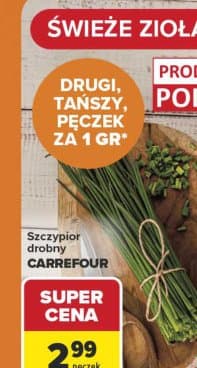 szczypior drobny
