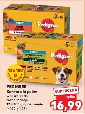 karma dla psów w saszetkach