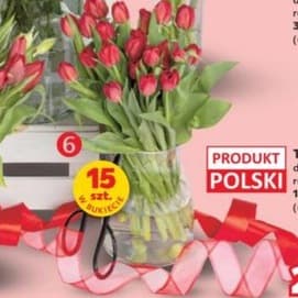 tulipany