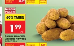 polskie ziemniaki wczesne
