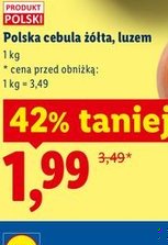 cebula żółta