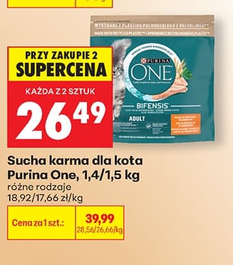 sucha karma dla kota