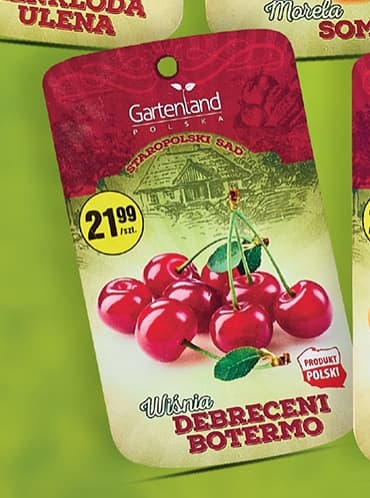 wiśnia debreceni botermo