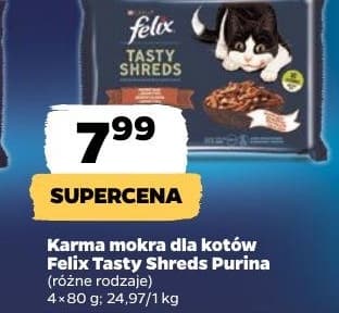 karma mokra dla kotów, różne rodzaje