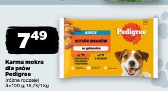 karma mokra dla psów