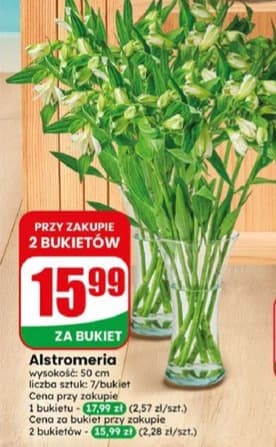 alstromeria
