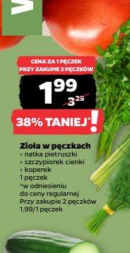 zioła w pęczkach