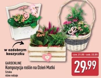 kompozycja roślin na Dzień Matki