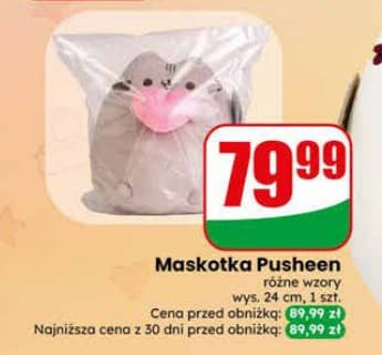 maskotka Pusheen