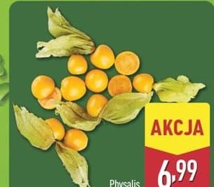 physalis