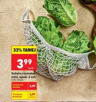 sałata rzymska mini