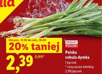 cebula dymka