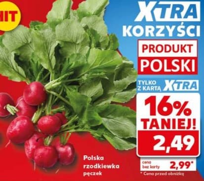 rzodkiewka
