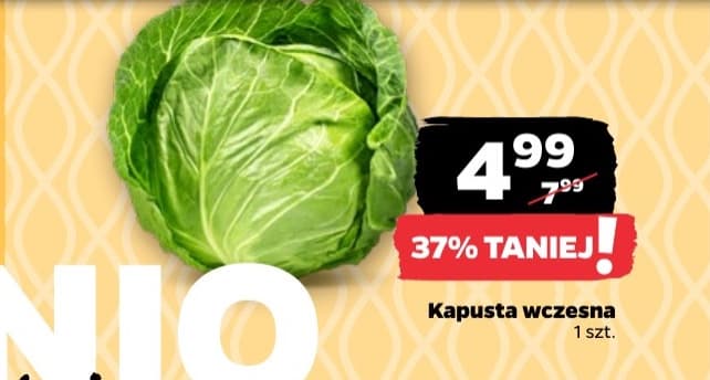 kapusta wczesna
