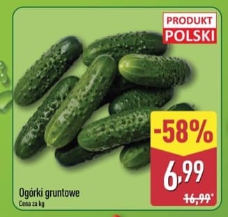 ogórek gruntowy