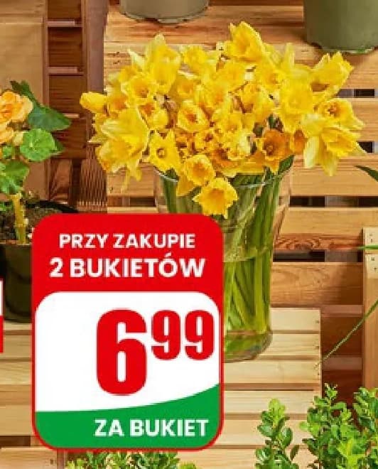 żonkile