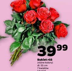 bukiet róż