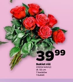 bukiet róż