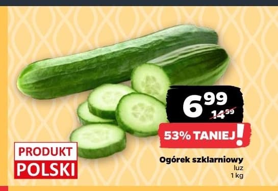 ogórek szklarniowy