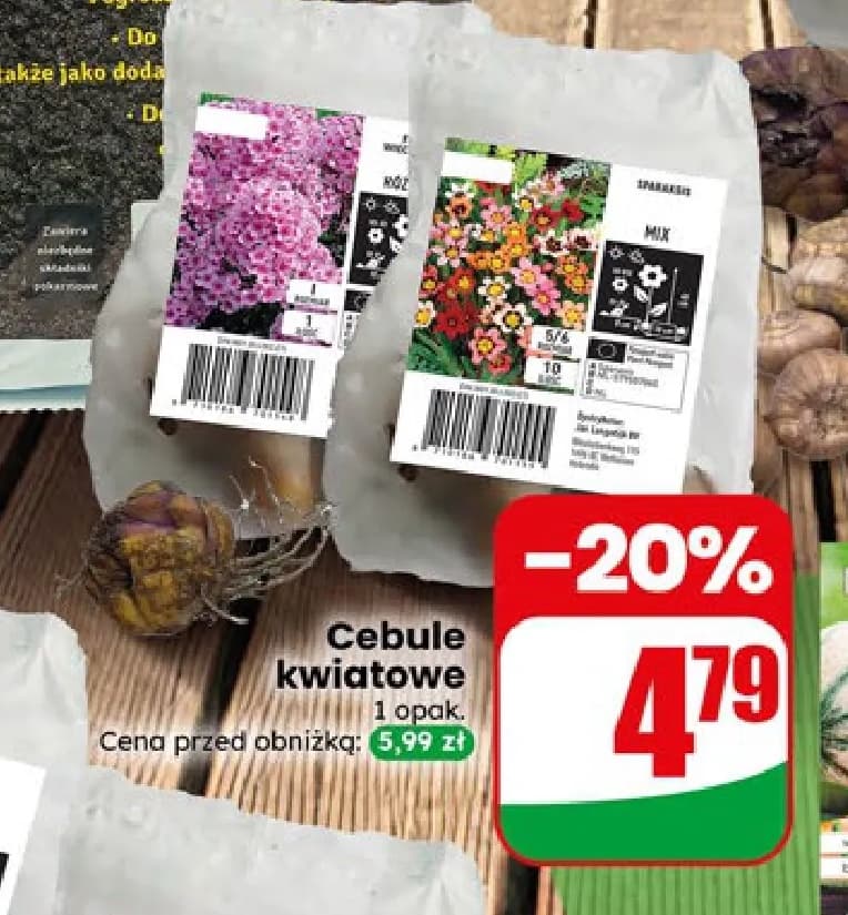 cebule kwiatowe