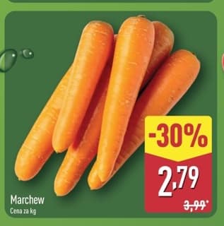 marchew