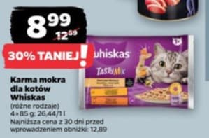 karma mokra dla kotów