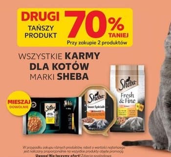 Wszystkie karmy dla kotów