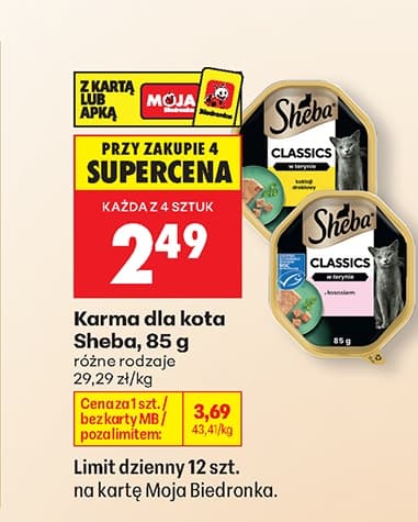 karma dla kota