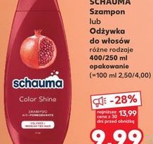 szampon lub odżywka do włosów