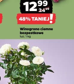 winogrono ciemne bezpestkowe