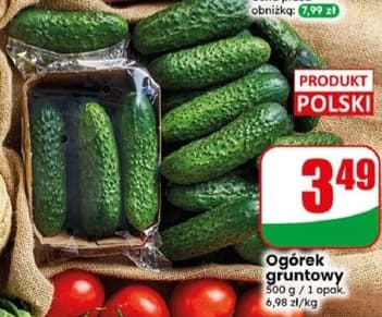 ogórek gruntowy