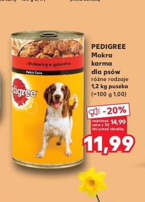 mokra karma dla psów różne rodzaje