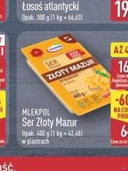 ser Złoty Mazur w plastrach