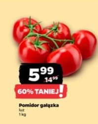 pomidor gałązka