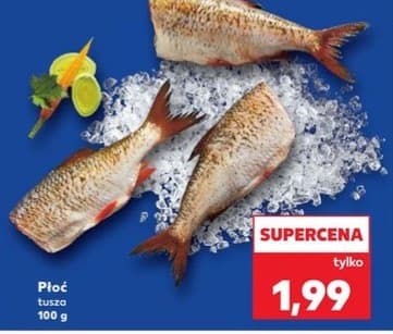 płoć tusza