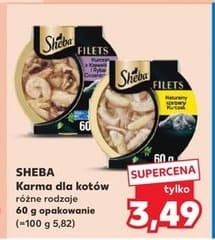 karma dla kotów