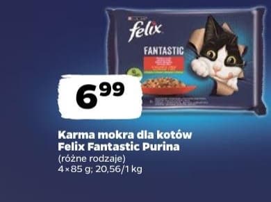 karma mokra dla kotów, różne rodzaje