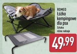 łóżko kempingowe dla psa